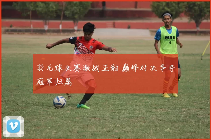 羽毛球决赛激战正酣 巅峰对决争夺冠军归属