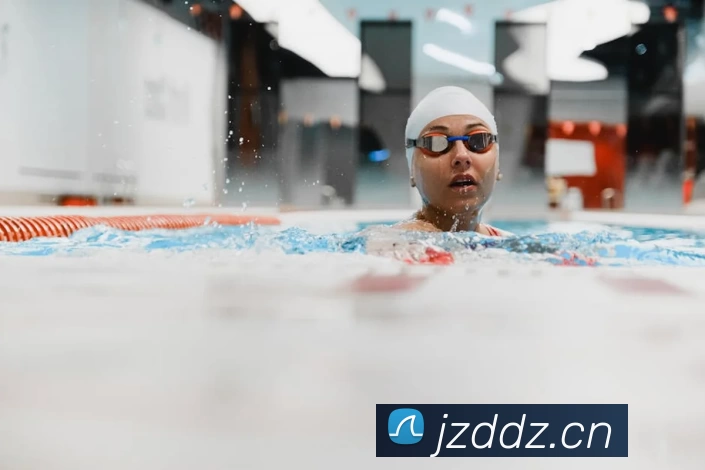 Z6·尊龙凯时「中国区」官方网站平台生态图